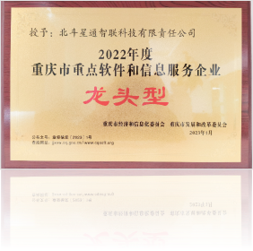 重慶市重點軟件和信息服務企業一"龍頭型"